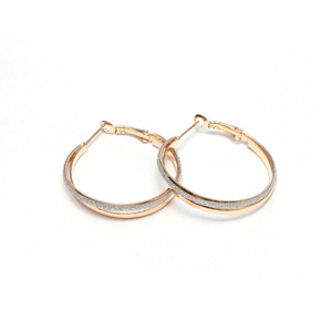 Gold tone double hoop earrings with silver glitter