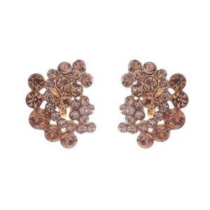 Champagne Crystal Flowers Gold Tone Clip On Earrings