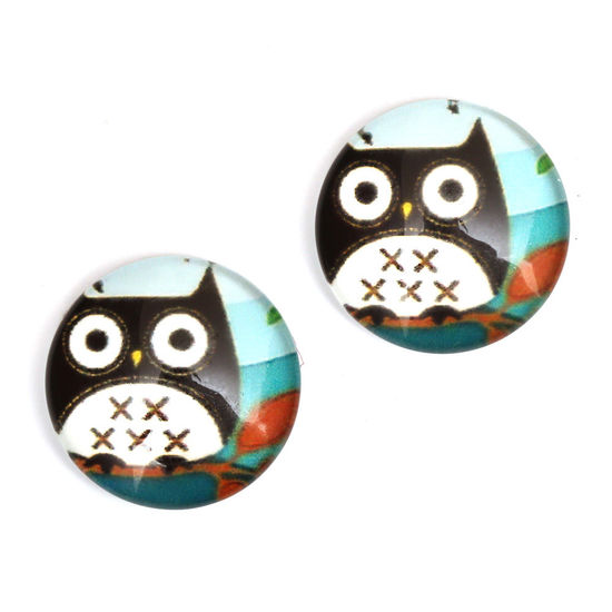 Black owl printed glass round button with gold-tone...