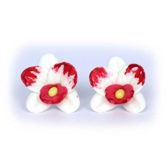 White and Red Orchids