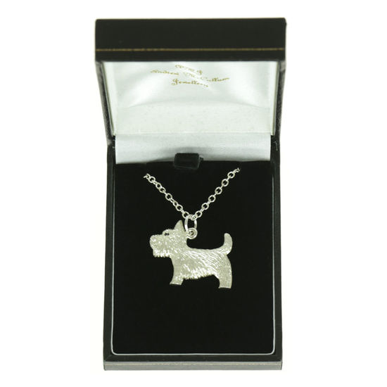 Westie with Sapphire